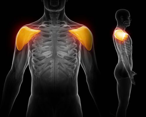 Seated Dumbbell Shoulder Press