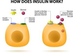 Diabetes and Exercise 1