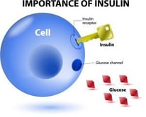 Exercise and Diabetes 3
